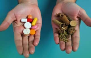1772141472_A Clear Comparison of Naturopathic Medicine and Conventional Healthcare Approaches